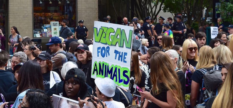 That One Time I Tried to Be Vegan