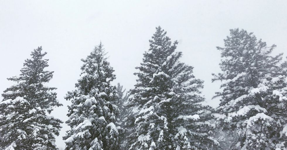 8 Ways College Kids Can Waste 8 Hours On A Snow Day