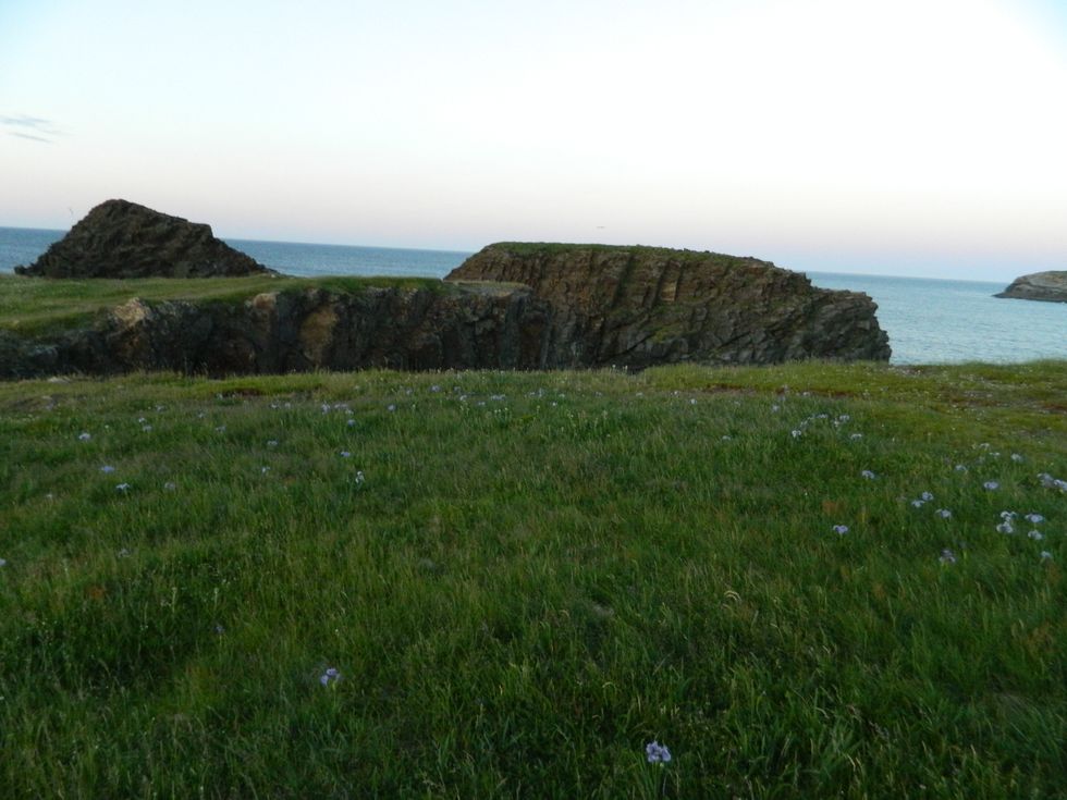 I Visited Newfoundland And I Can Honestly Say The Trip Changed My Life