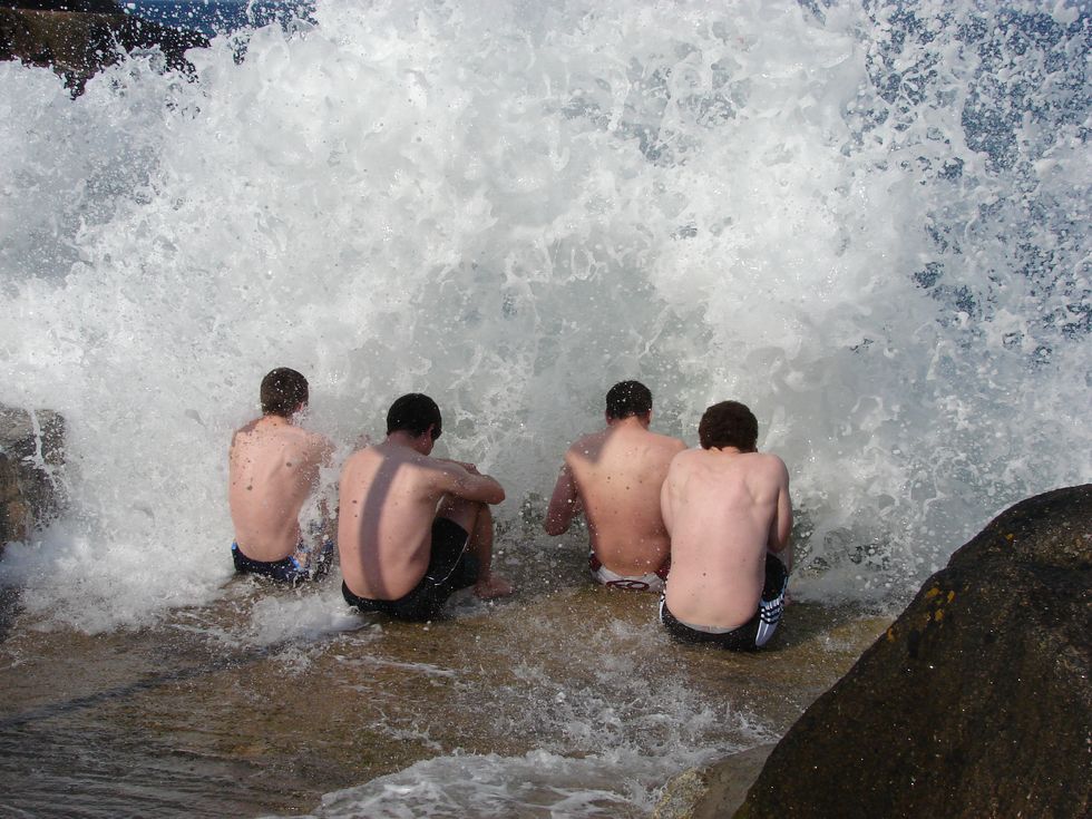 Everyone Is An Idiot And You Can Be One, Too