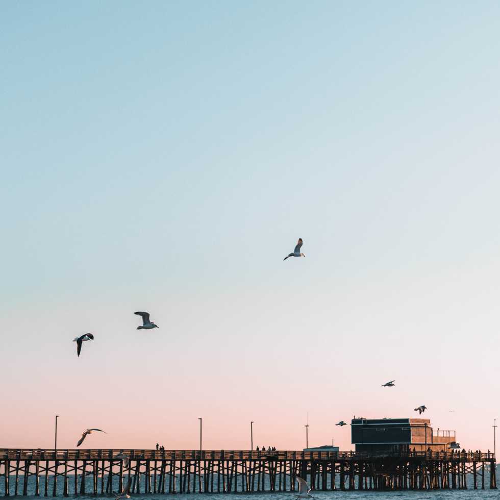 The One Thing We Forget When Working Hard