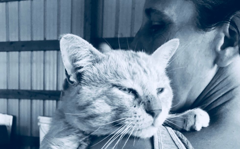 My Rescue Animal Was A Blessing And Yours Can Be Too