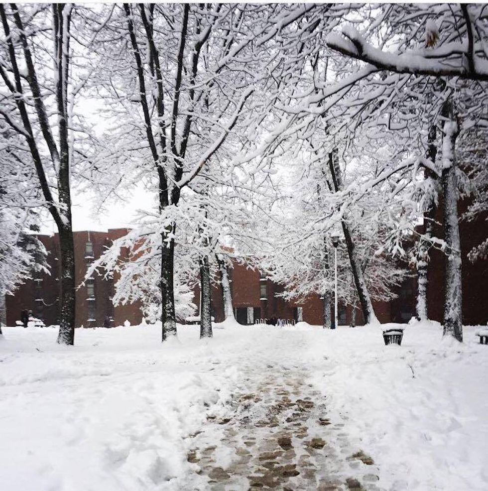 8 Things To Do On Your Next Snow Day
