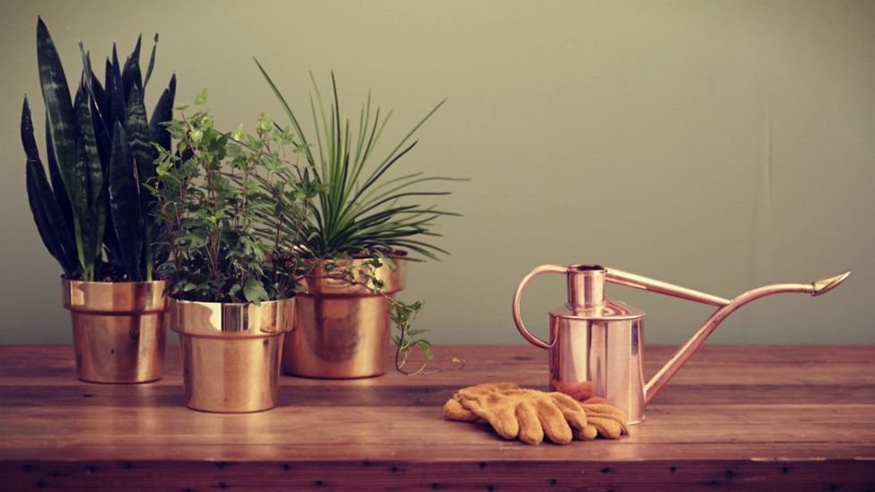 ​Fashion, Beauty, And Home Decorating Trends To Follow This Spring