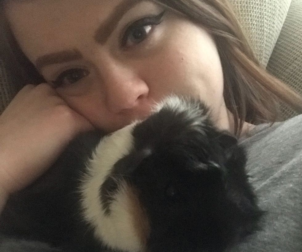 5 Things You ABSOLUTELY Must Know Before You Buy A Guinea Pig