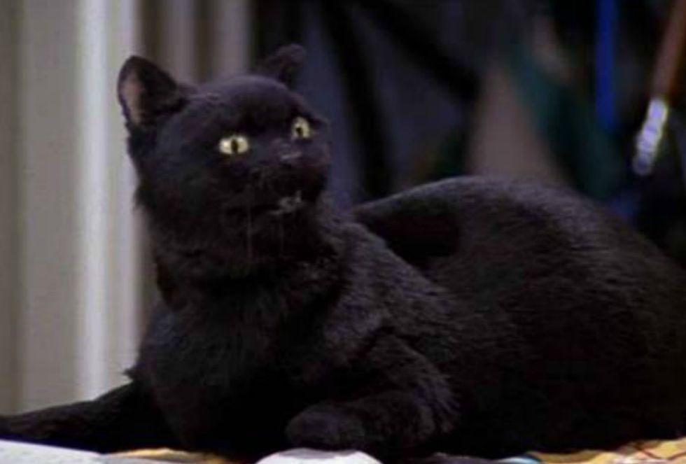 An Ode To Salem Saberhagen: Some Appreciation For The Most Underrated Character In TV History