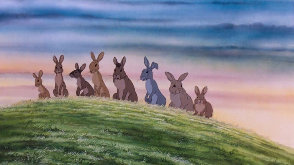 Watership Down: The Serious Side Of Animation