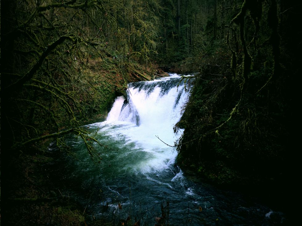 Music Tells You Truths About Yourself