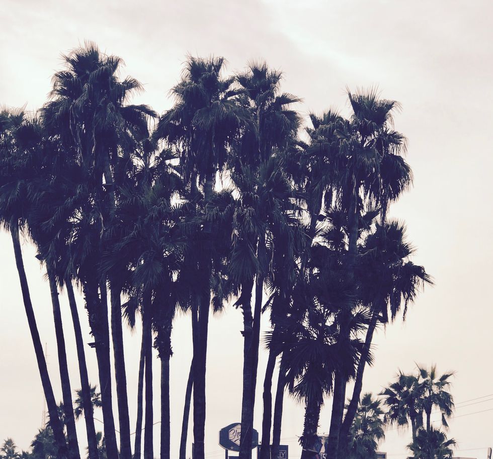 10 Diets I Don't Recommend To Any 'Spring Break Bod' Crazed Sorority Girl