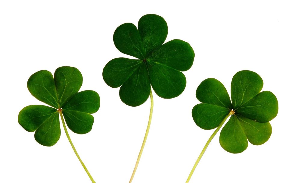 Do You Know The Origin Of St. Patrick's Day?