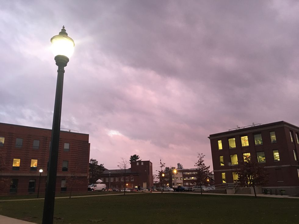 Basic College Conversations Just Get Worse When You Admit You're An English Major At 'Zoomass'