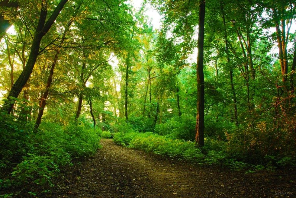 When You've Lost Control