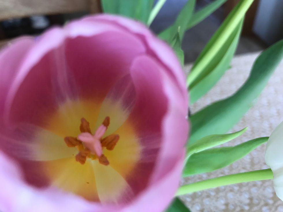 5 Items You NEEDED In Your Easter Basket As A Child