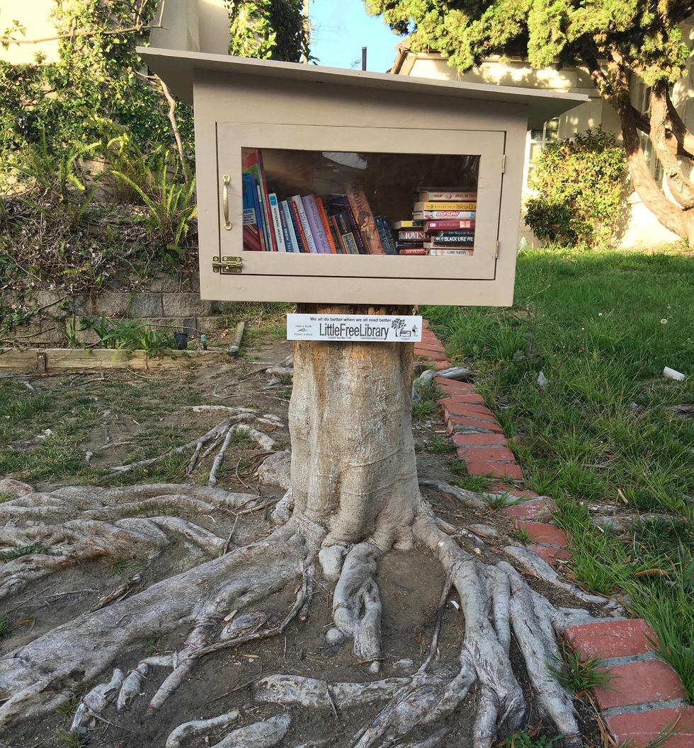 Why I Love Little Free Libraries