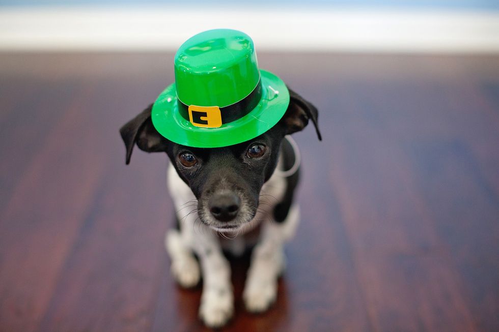 5 Misconceptions About Saint Patrick's Day