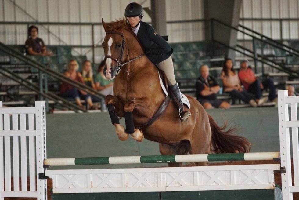 Baylor's Equestrian Team Rides Horses, Not Bears