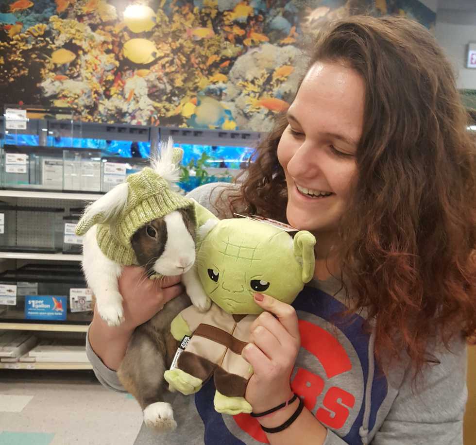 17 Things You Should Know Before You Get A Pet Bunny Rabbit