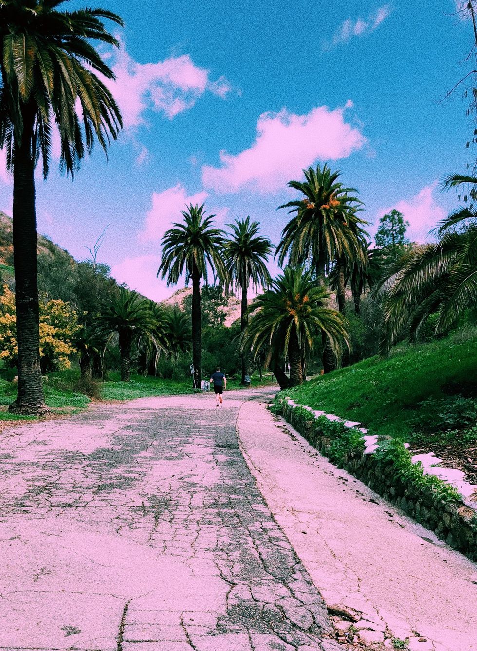 Love Yourself ANYWAYS