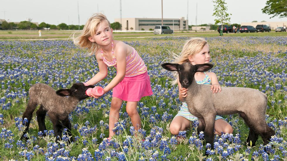 10 Facts You Reckon Are True If Y'all Are From The Lone Star State