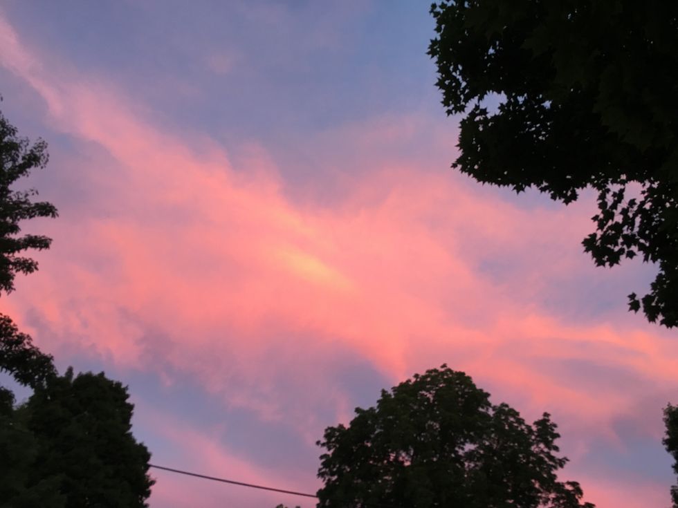 Procrastination Works For Me, Don't Tell Me How To Study