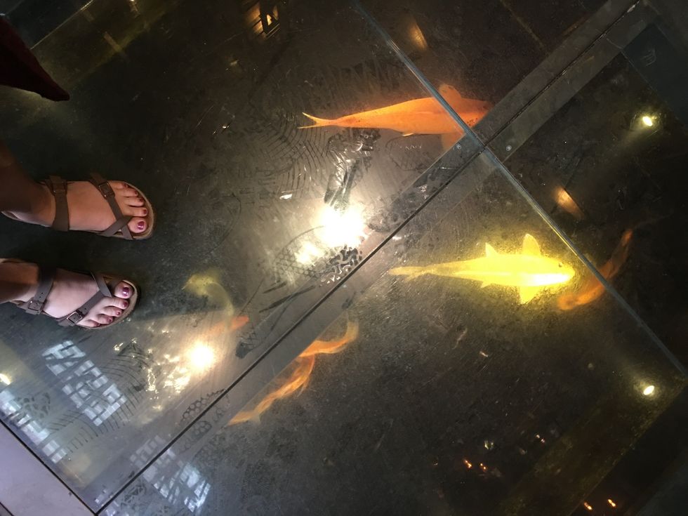 5 Reasons Not to Knock Birk's Till You Try 'Em