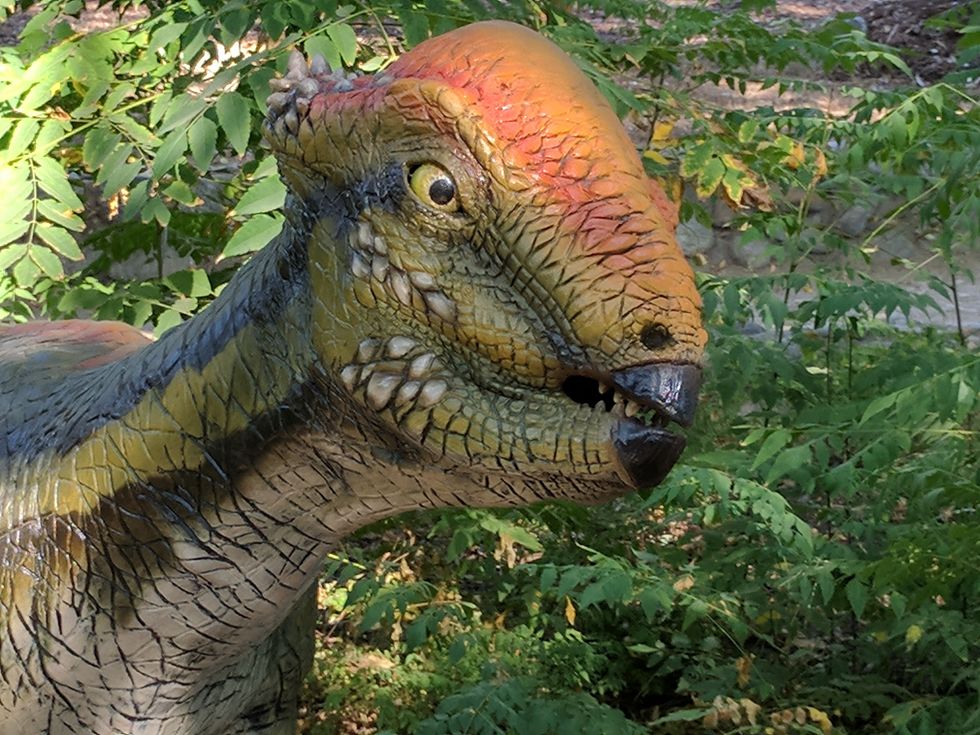 7 Dinosaur Facts To Make Your Week Better
