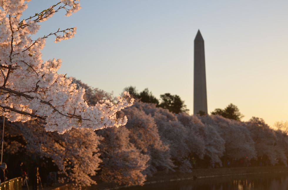 5 Reasons You Know The Tourists Are Coming, The Tourists Are Coming To D.C.