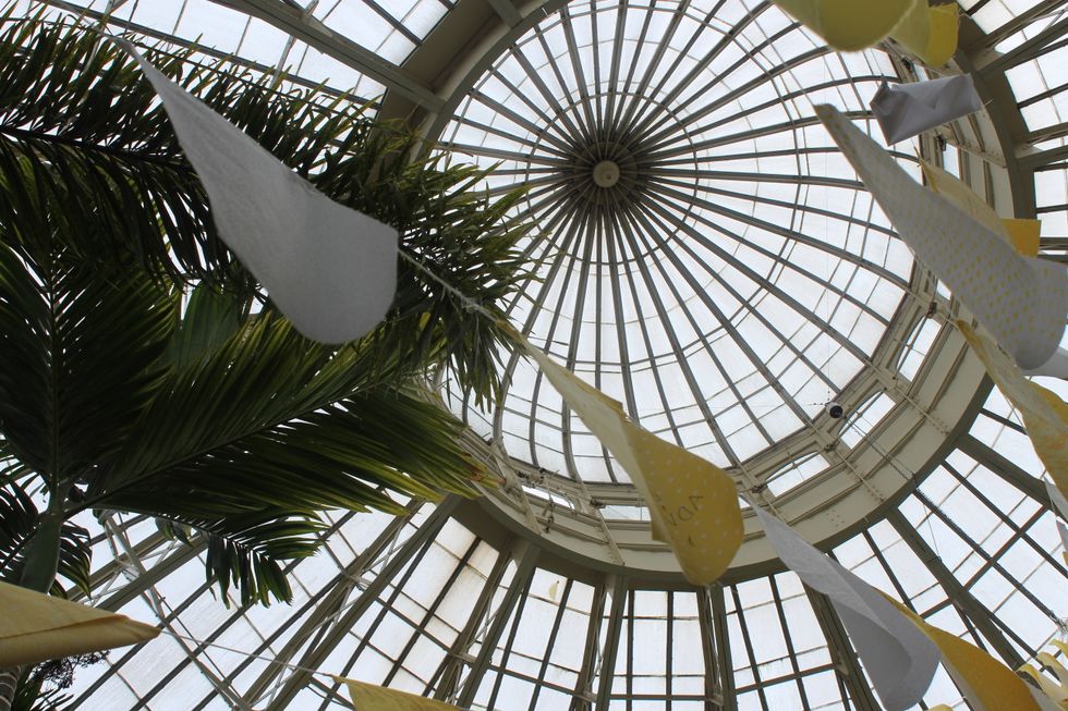 What I Would Tell My Former Self