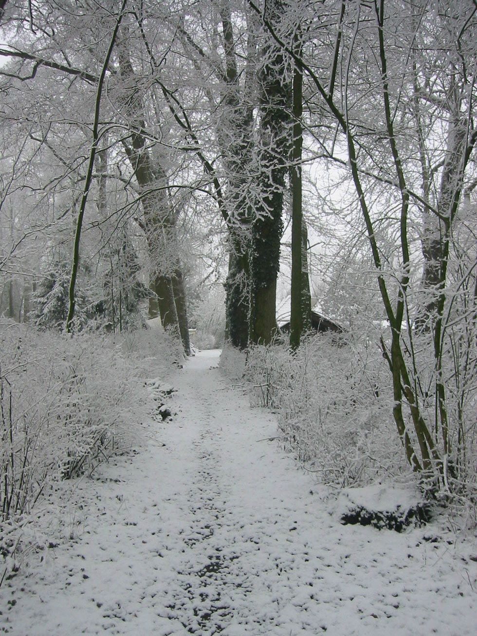 5 Things To Do On A Snow Day