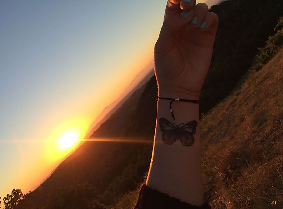 What We Can Learn From Butterflies