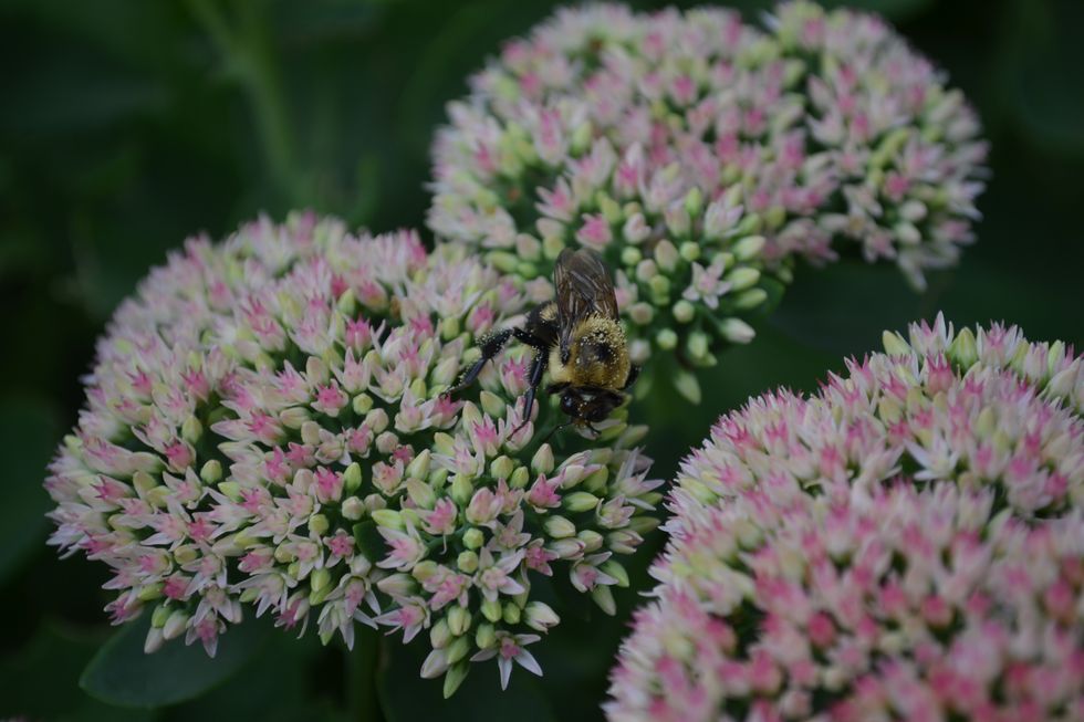 Sometimes We Need To Take A Step Back And Admire The World Around Us