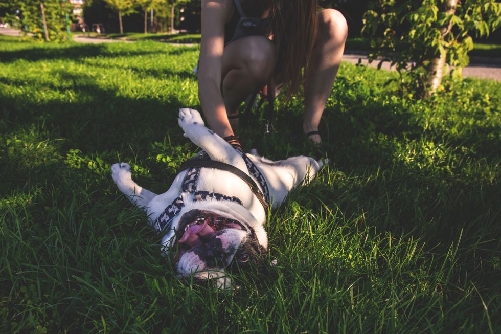 11 Feelings You'll Only Understand If You Have A Four-Legged BFF
