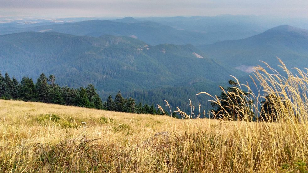 5 Things Taking A Survival Class Taught Me