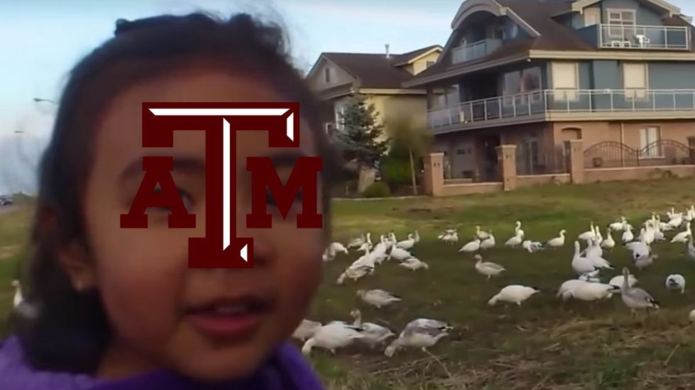 If Texas Universities Were Described By Famous Vines