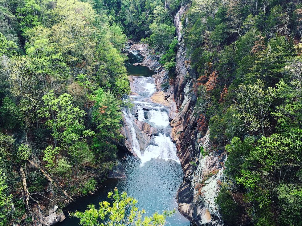 5 Must-Do Hikes In The Carolinas