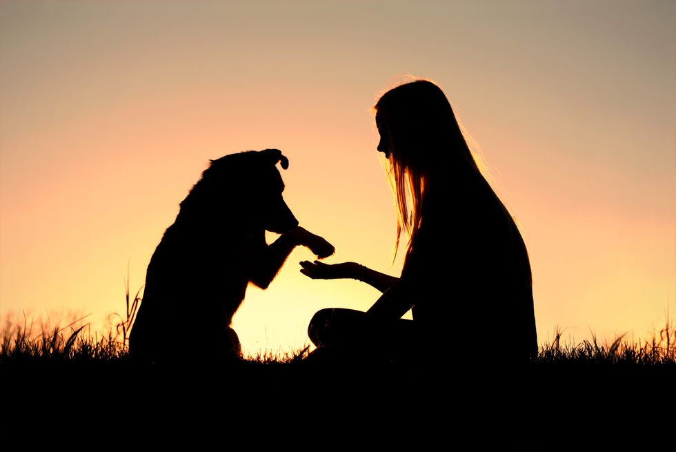 5 Things I Wish My Dogs Understood