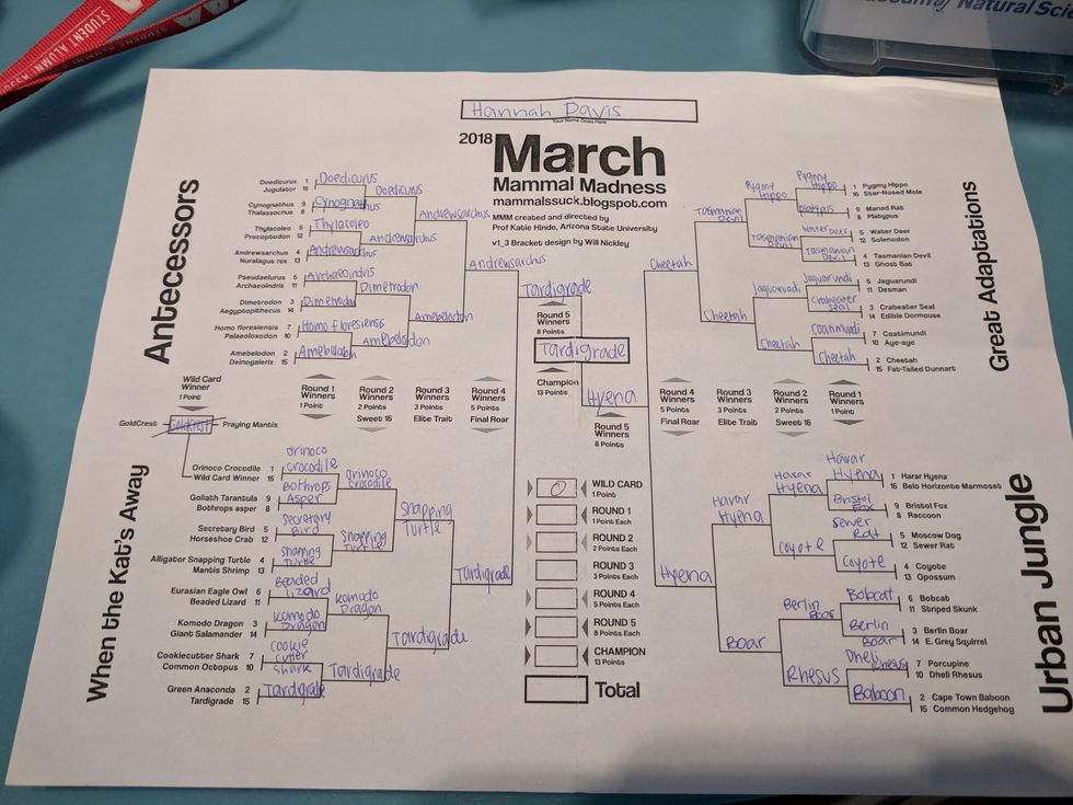 March Mammal Madness > March Madness, Change My Mind