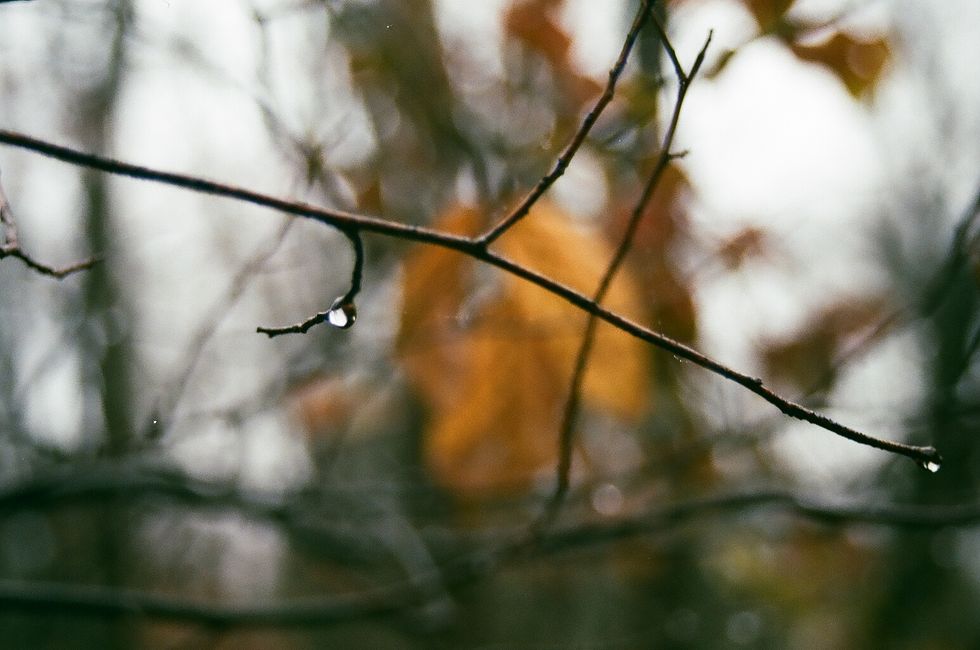 The Importance Of Reflecting On Your Roots