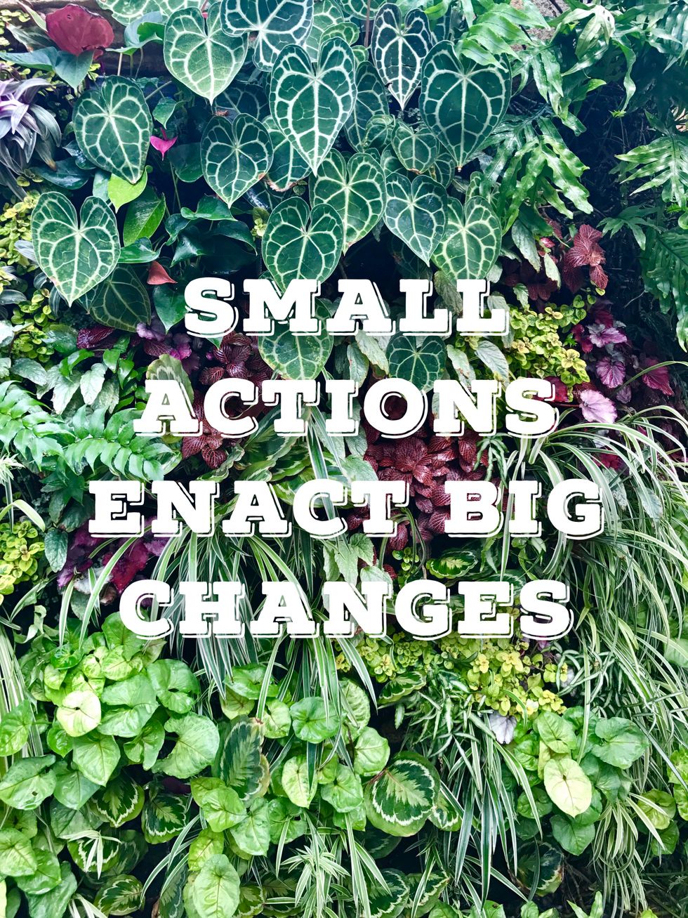 22 Things You Can Do To Slow Global Warming And Save Money