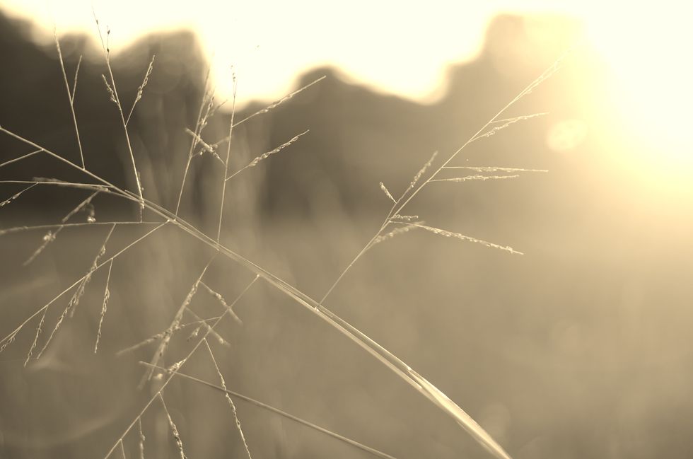 10 Scriptures For Hope In The Hard Place