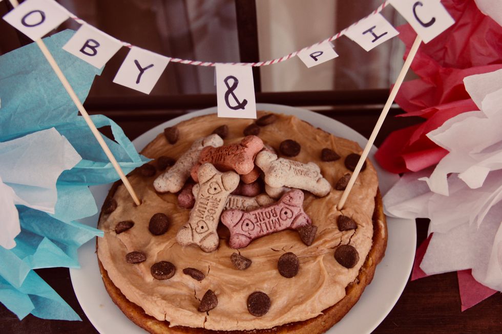 8 Pawsitively Pup-fect Steps For Throwing Your Dog A Birthday Party