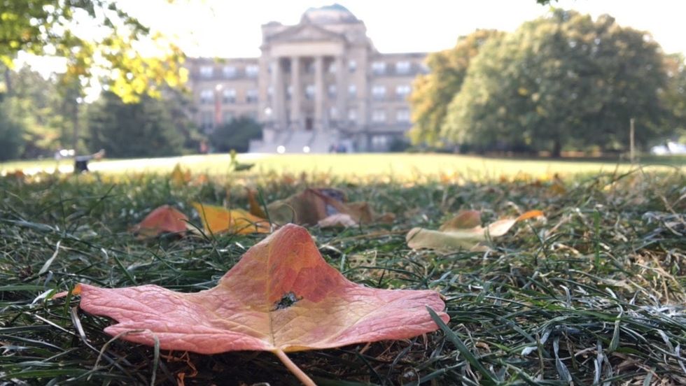 A Memoir: "Musing What I'm Missing"