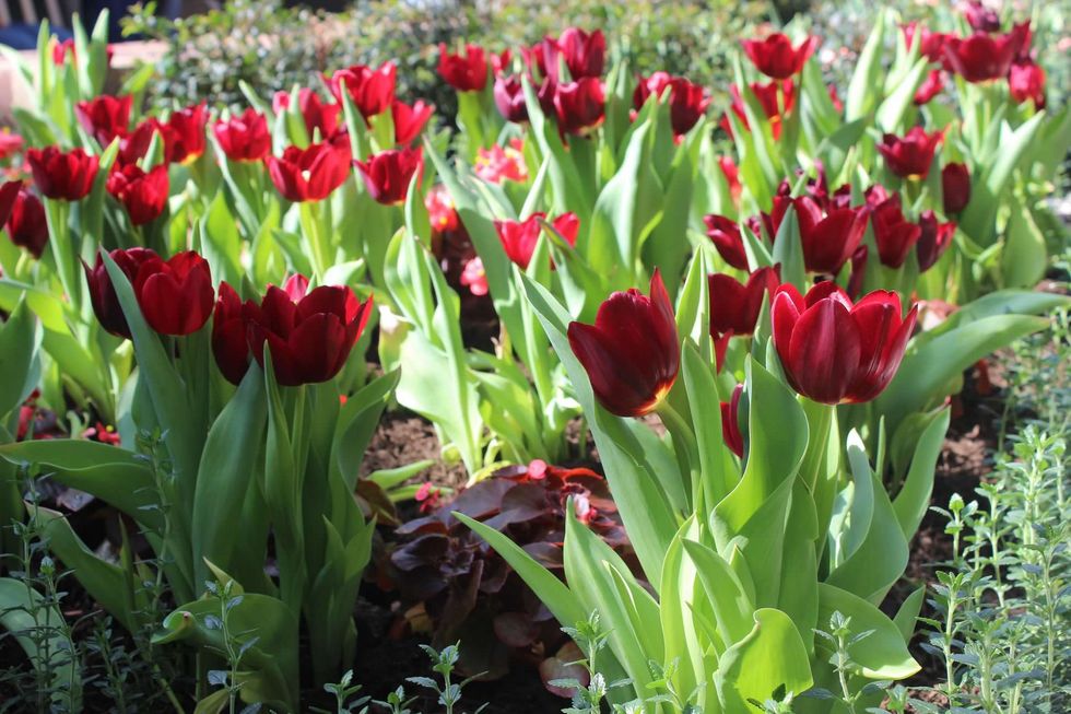 The Conversation About Rape Culture MUST NOT END