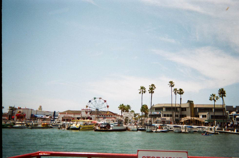 6 Amazing Signs That Summer Is Coming