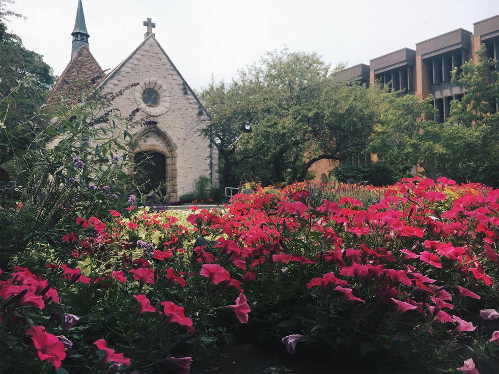 There Are 4 Seasons But I Have 8 Reasons Spring Is The Best