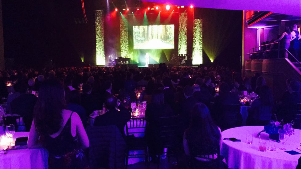 What You Need To Know About Miscast