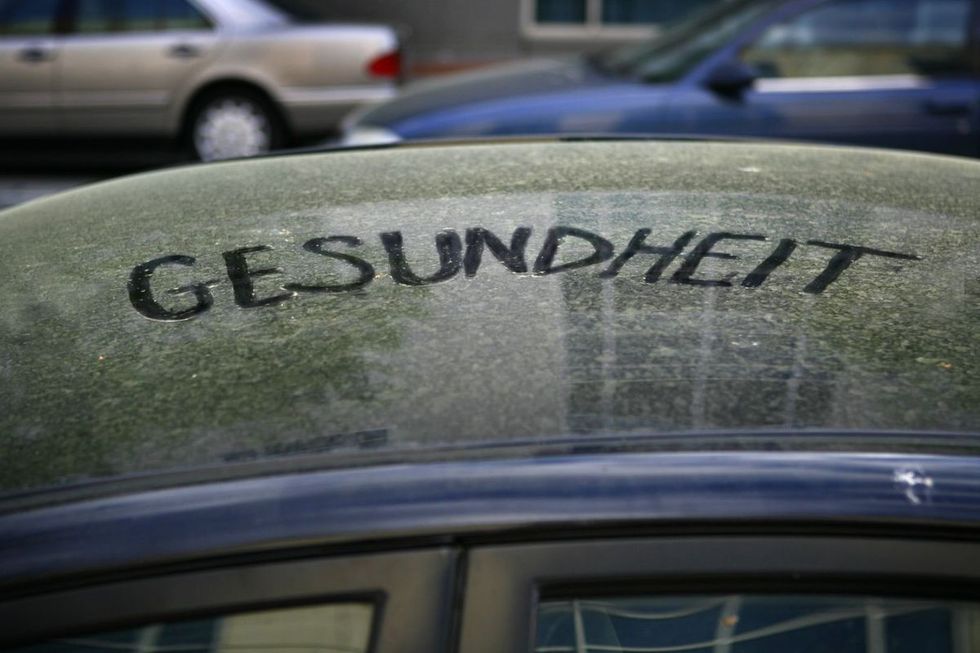 How To Survive Pollen Season