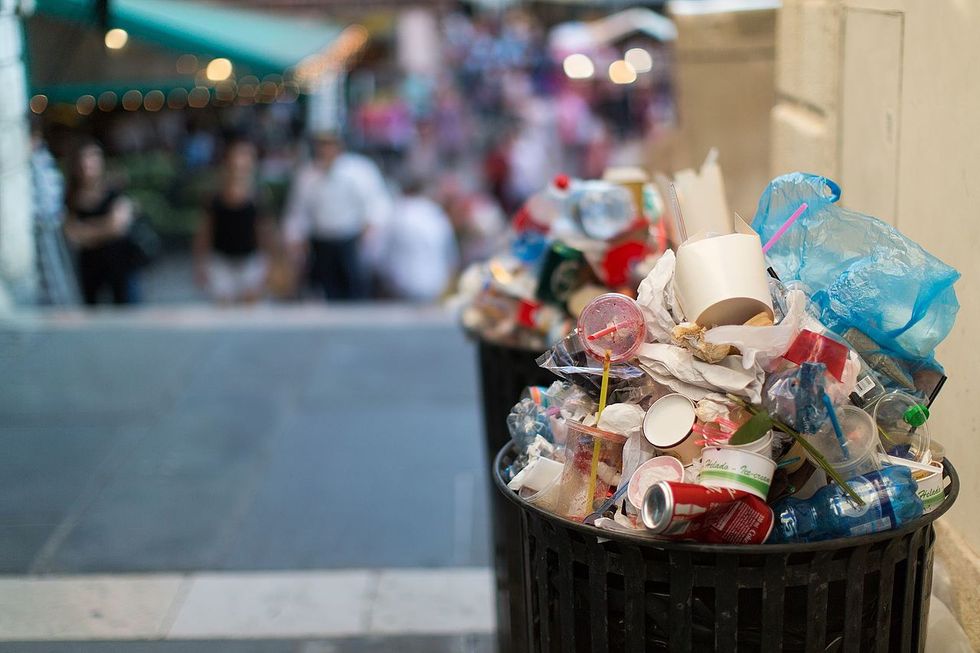 The Elon Bubble, Privilege, And Uneaten Hot Dogs