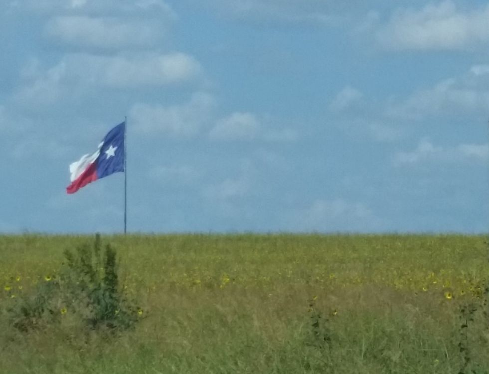 Texas Is The Best Of The Fifty Nifty