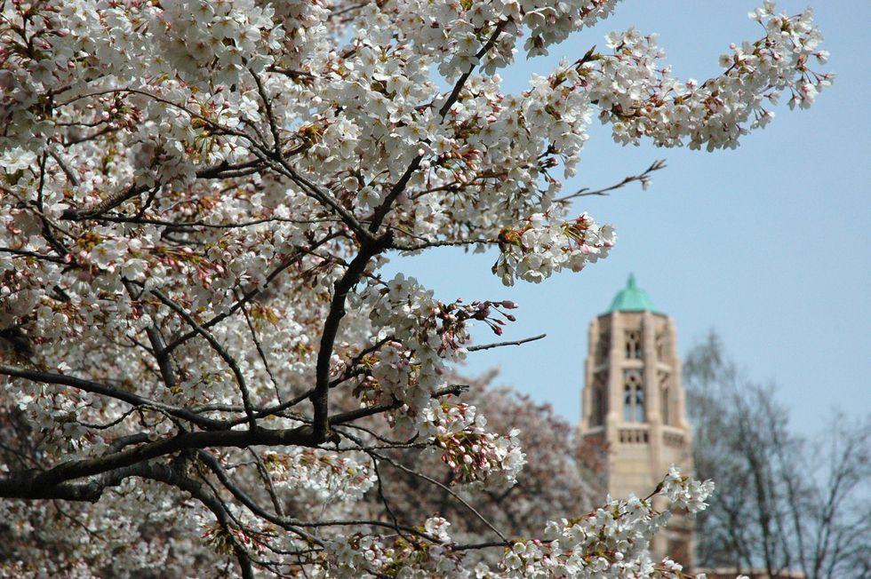 6 Reasons Why Spring Quarter at UW Is Better Than Spring Quarter Anywhere Else